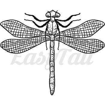 Dragon Fly - By Didi Fox - Temporary Tattoo