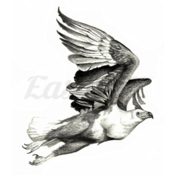 Eagle in Flight - Temporary Tattoo
