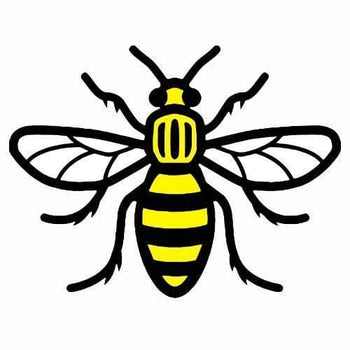Yellow Machester Bee - Temporary Tattoo