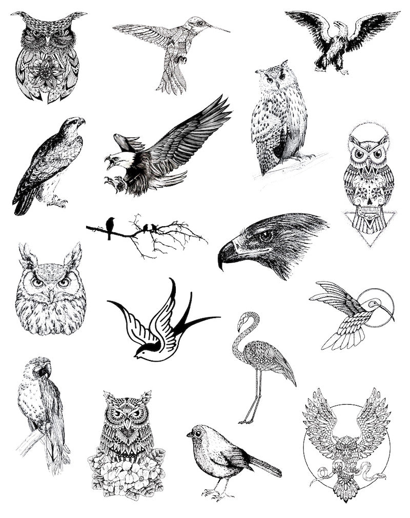 (17 Tattoos) Bird Watch