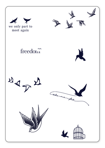 (8 Tattoos) Bird is the Word - Semi-Permanent Tattoos