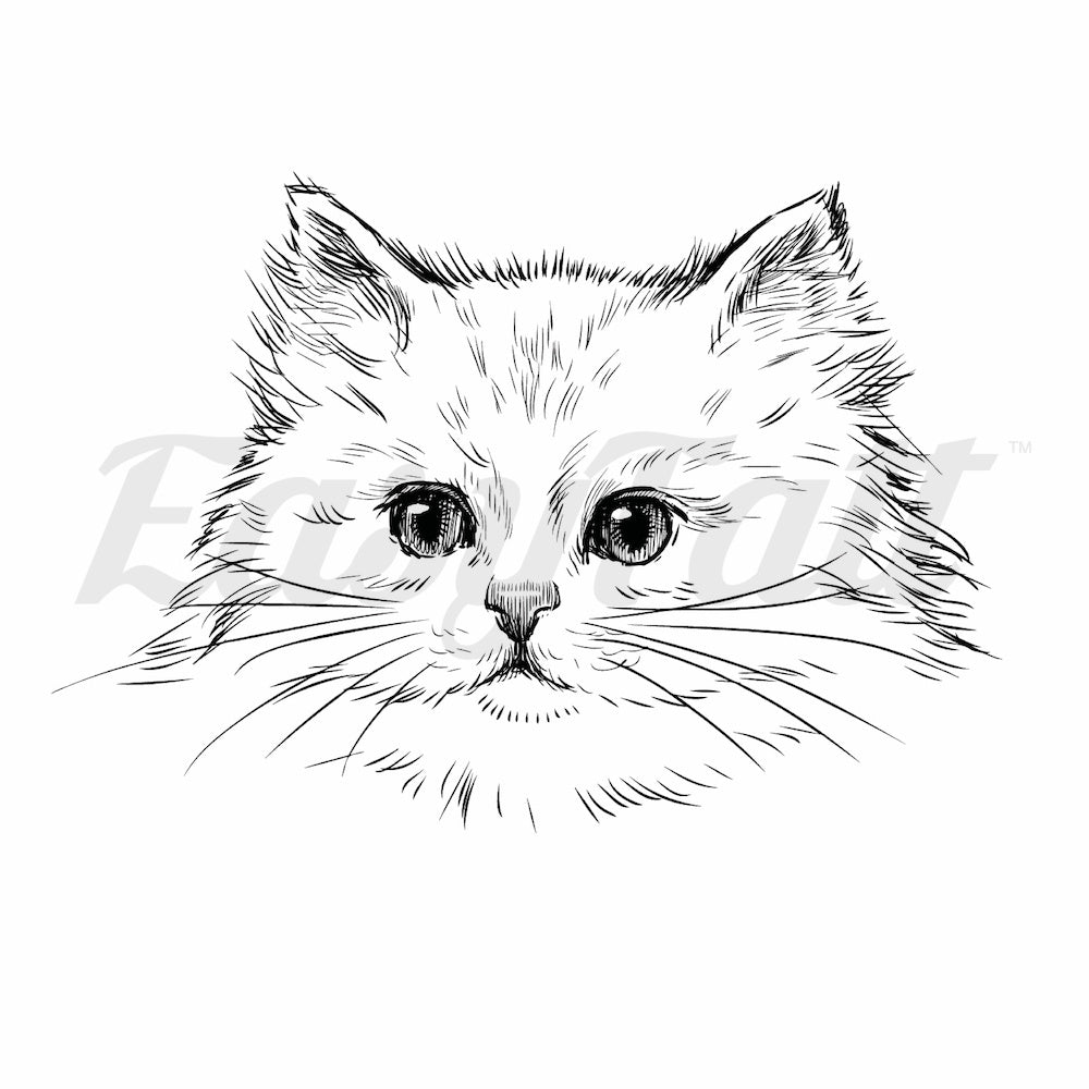 Cat Sketch