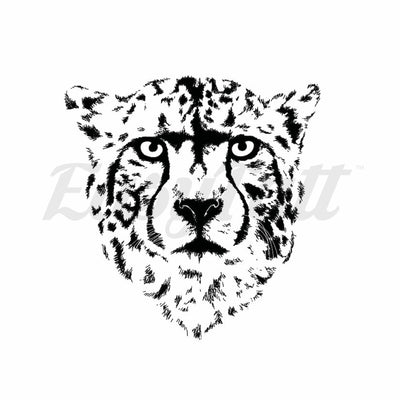 Cheetah