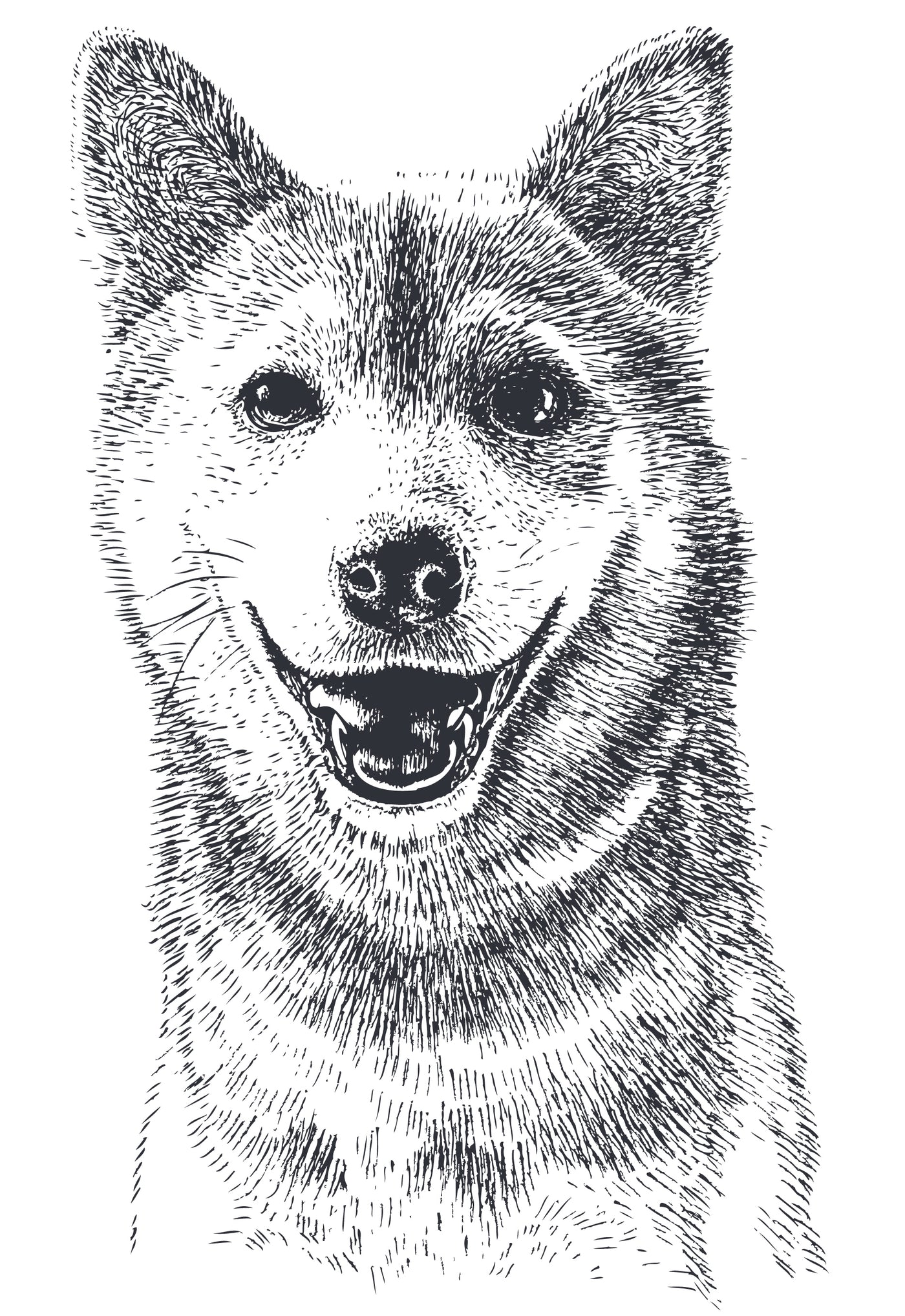 Kelpie