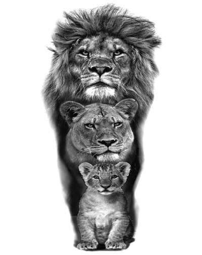 Lions