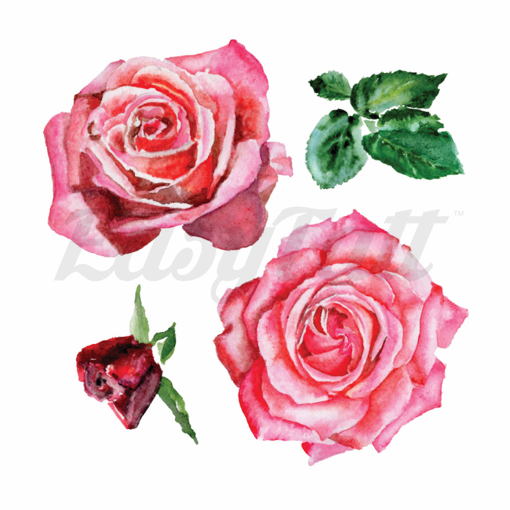 Watercolour Pink Roses