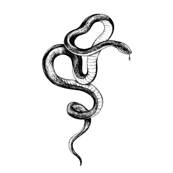 (FREE) Snake Charm