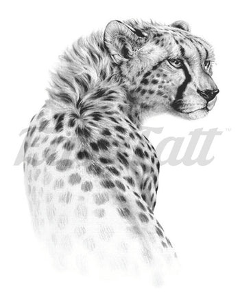 Cheetah - Temporary Tattoo