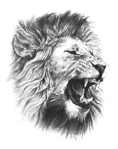 Lion Roar