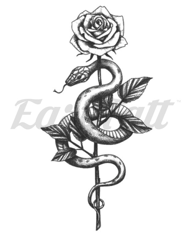 Snake Rose