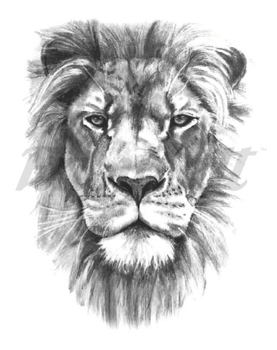 The Lion