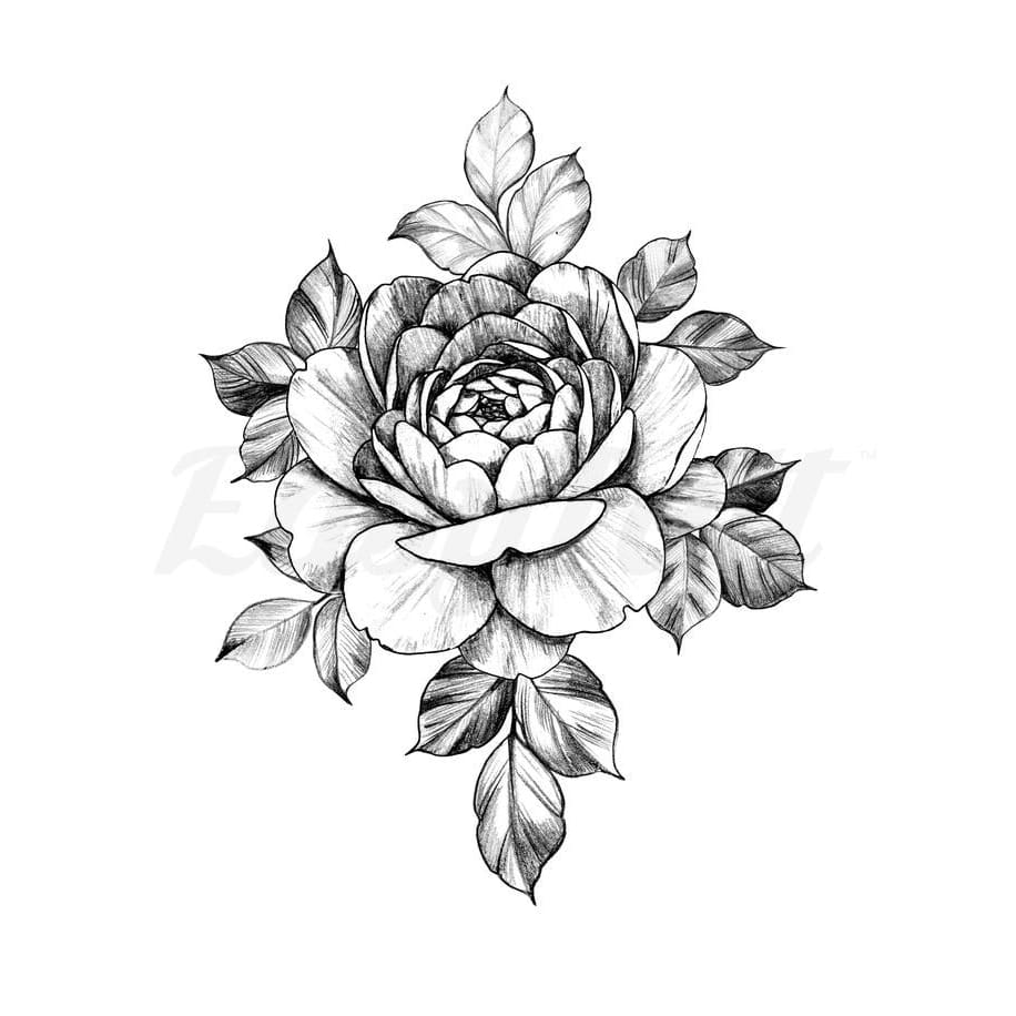 A New Bloom - Temporary Tattoo