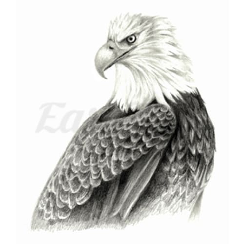 American Eagle - Temporary Tattoo
