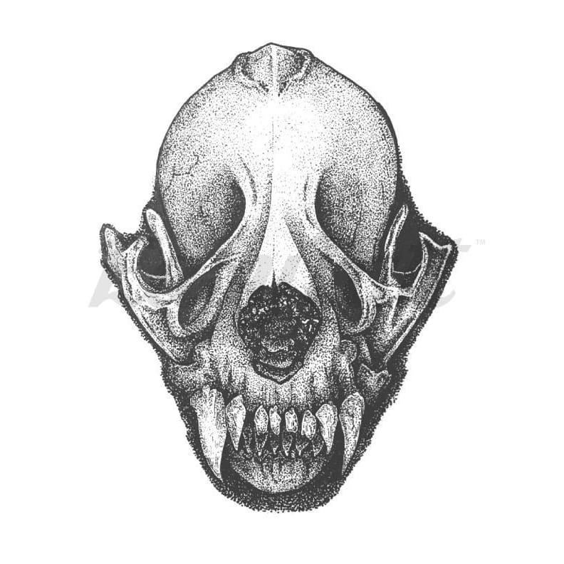 Animal Skull - By Joana Mena - Temporary Tattoo