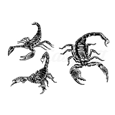 Attacking Scorpions - Temporary Tattoo