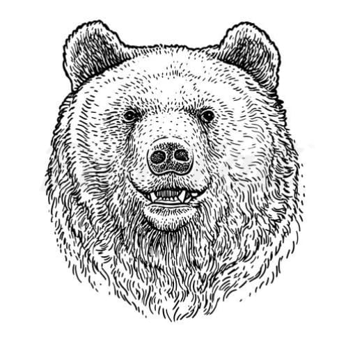Bear - Temporary Tattoo