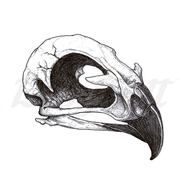 Bird Skull - Temporary Tattoo