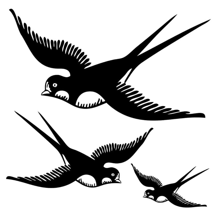 Bird Trio - Temporary Tattoo
