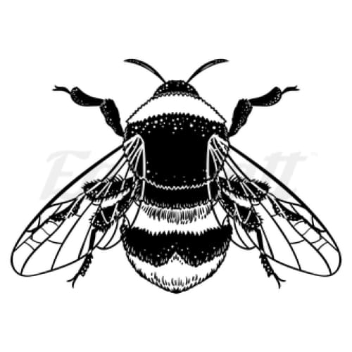 Black Bee - Temporary Tattoo