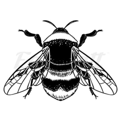 Black Bee - Temporary Tattoo