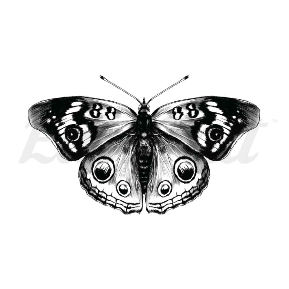 Black Butterfly - Temporary Tattoo