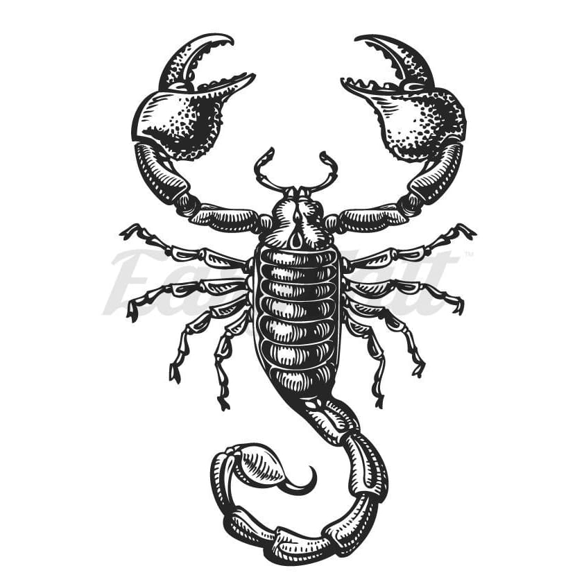 Black Scorpion - Temporary Tattoo
