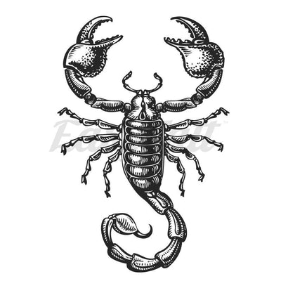 Black Scorpion - Temporary Tattoo