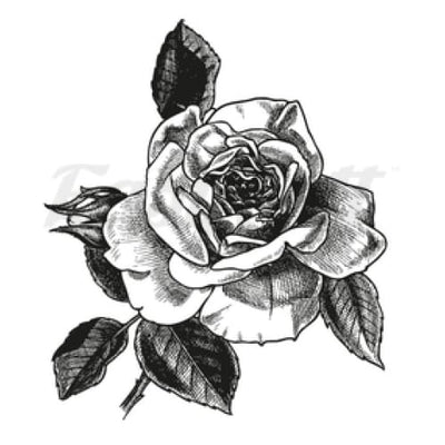 Black Shaded Rose - Temporary Tattoo