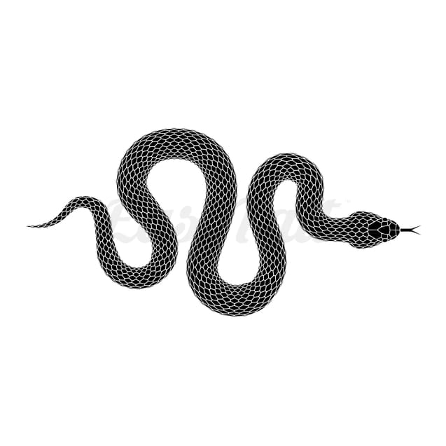 Black Snake - Temporary Tattoo