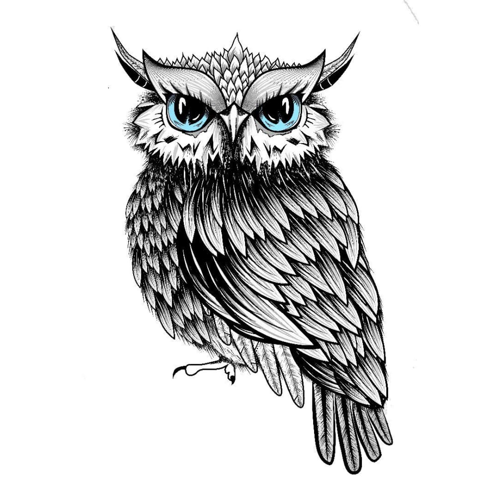 Blue Eyed Owl - Temporary Tattoo