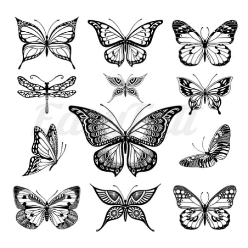 Butterfly Collection - Temporary Tattoo