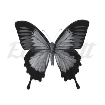 Butterfly - Temporary Tattoo