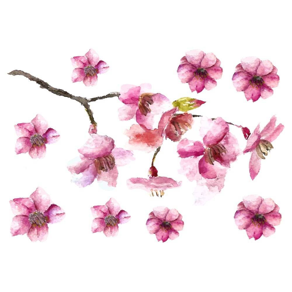 Cherry Blossom Petals and Branch - Temporary Tattoo