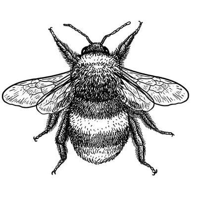 Classic Bee - Temporary Tattoo