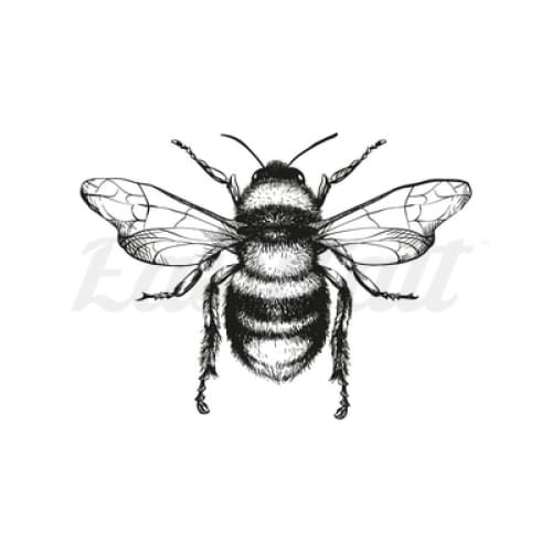 Classic Bee - Temporary Tattoo