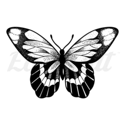 Classic Butterfly - Temporary Tattoo