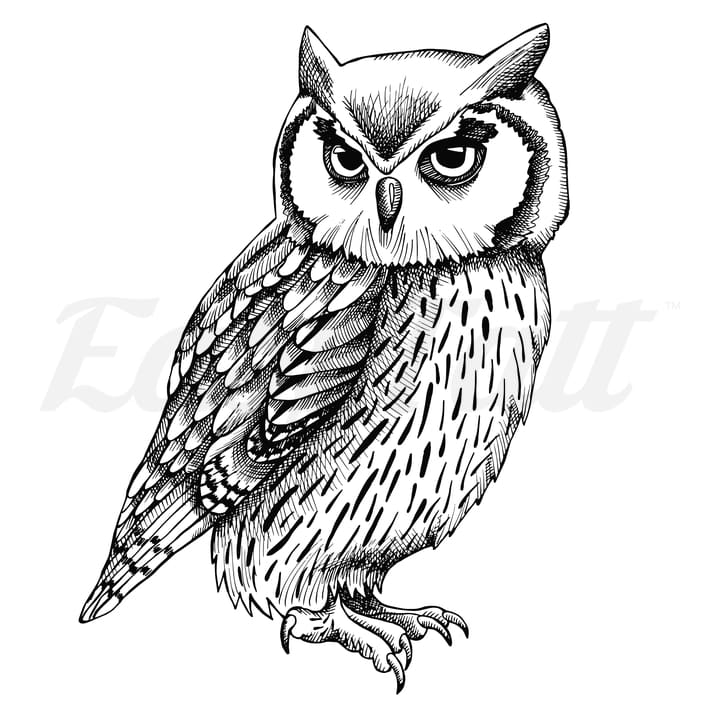 Classic Owl - Temporary Tattoo