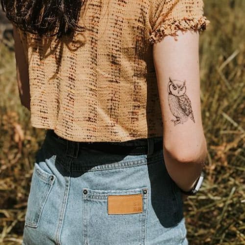 Classic Owl - Temporary Tattoo