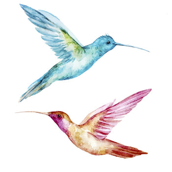 Colourful Birds - Temporary Tattoo