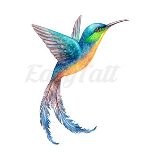 Colourful Hummingbird - Temporary Tattoo