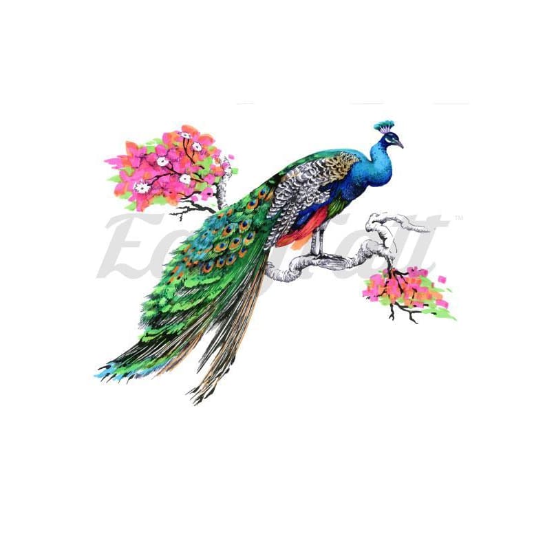 Colourful Peacock - Temporary Tattoo