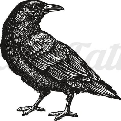 Crow / Raven - Temporary Tattoo