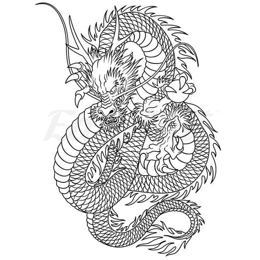 Curled Dragon - Temporary Tattoo