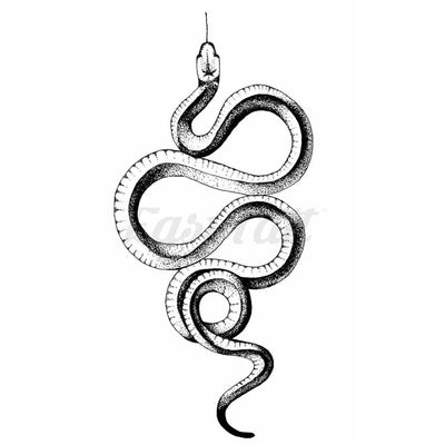 Curled Snake - Temporary Tattoo