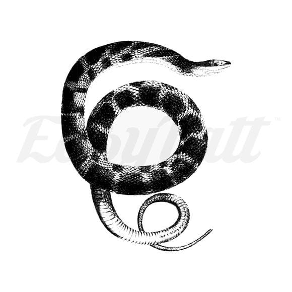 Curling Snake - Temporary Tattoo