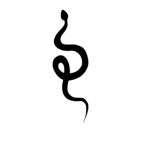 Curly Snake - Temporary Tattoo