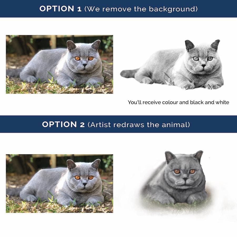 Custom Pet