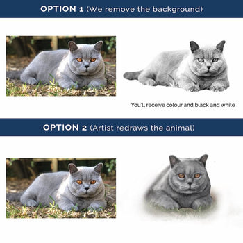Custom Pet