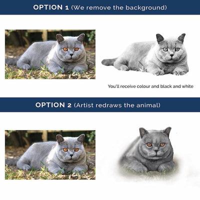 Custom Pet
