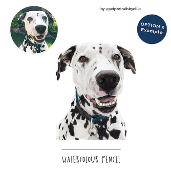 Custom Pet